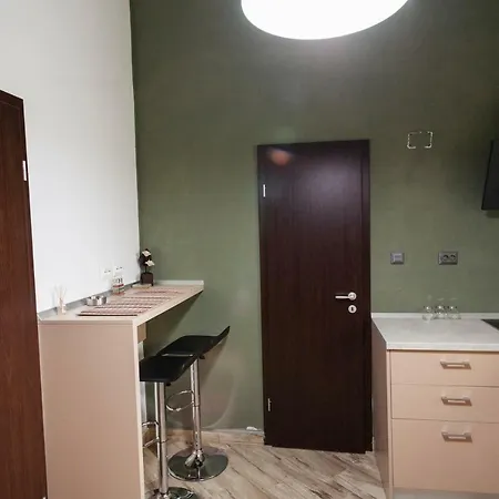Apartment Raoul's Timisoara