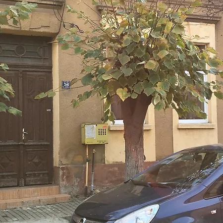 Raoul's Timişoara